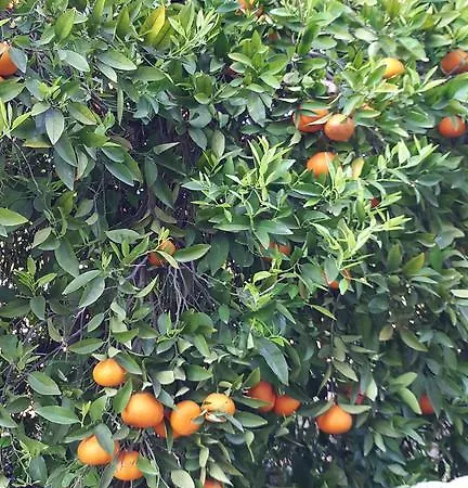 בית נופש Jaime Cyprus