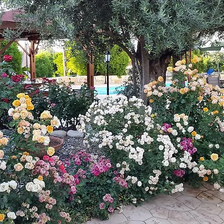 בית נופש Jaime Cyprus *