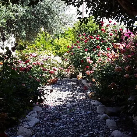 בית נופש Jaime Cyprus