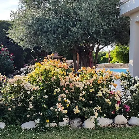 Holiday home Jaime Cyprus *