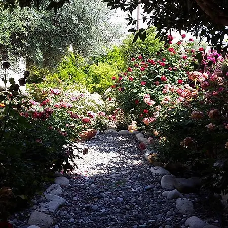 Holiday home Jaime Cyprus