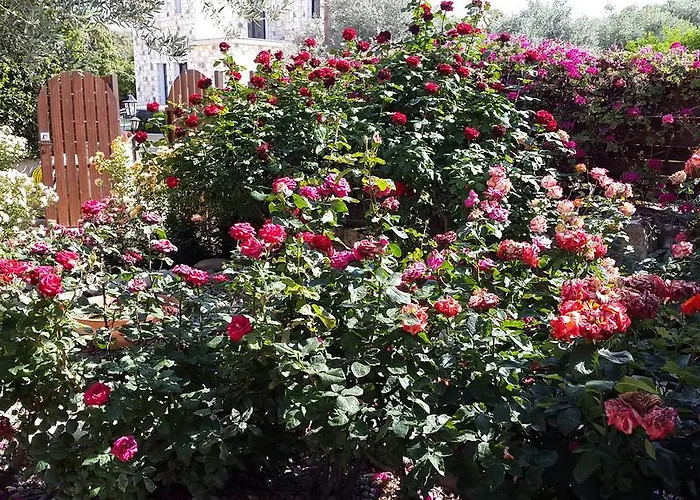 Jaime Cyprus * Аргака