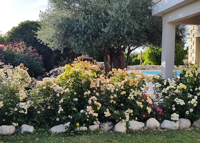 Дом отдыха Jaime Cyprus *