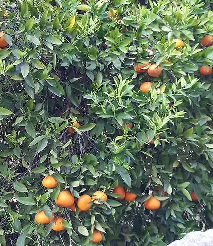 Дом отдыха Jaime Cyprus