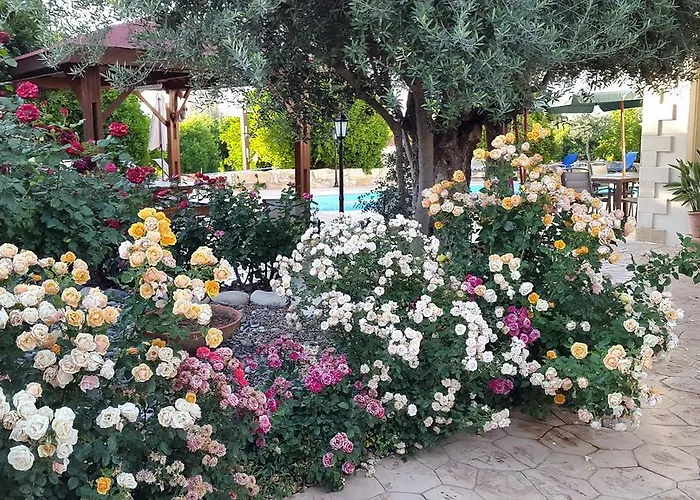 Feriehus Jaime Cyprus *