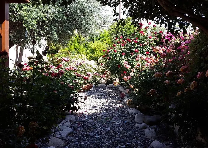 Дом отдыха Jaime Cyprus